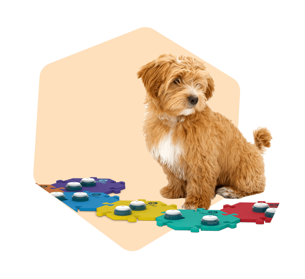 HexTiles pozwala uczniom na samodzielne korygowanie błędów